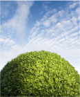 stacks_image_056D3300-3AEF-478D-B003-7BA7C7AEEABC
